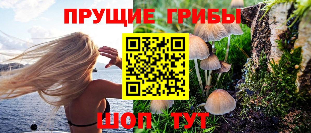 Псилоцибиновые грибы мицелий  Галлюциногенные грибы Psilocybe  Аша  Вход с VPN 